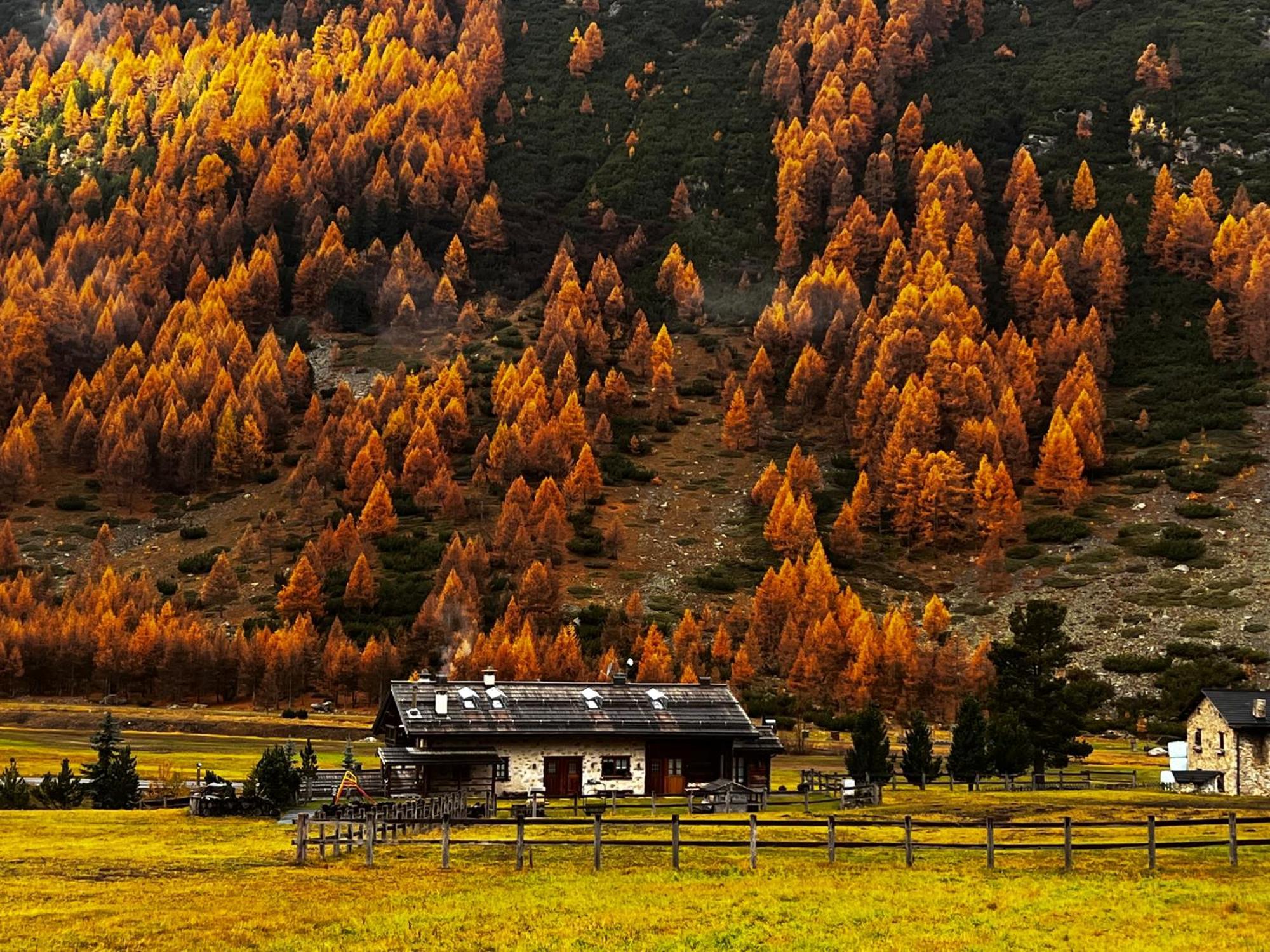Baita Pomo Livigno Esterno foto