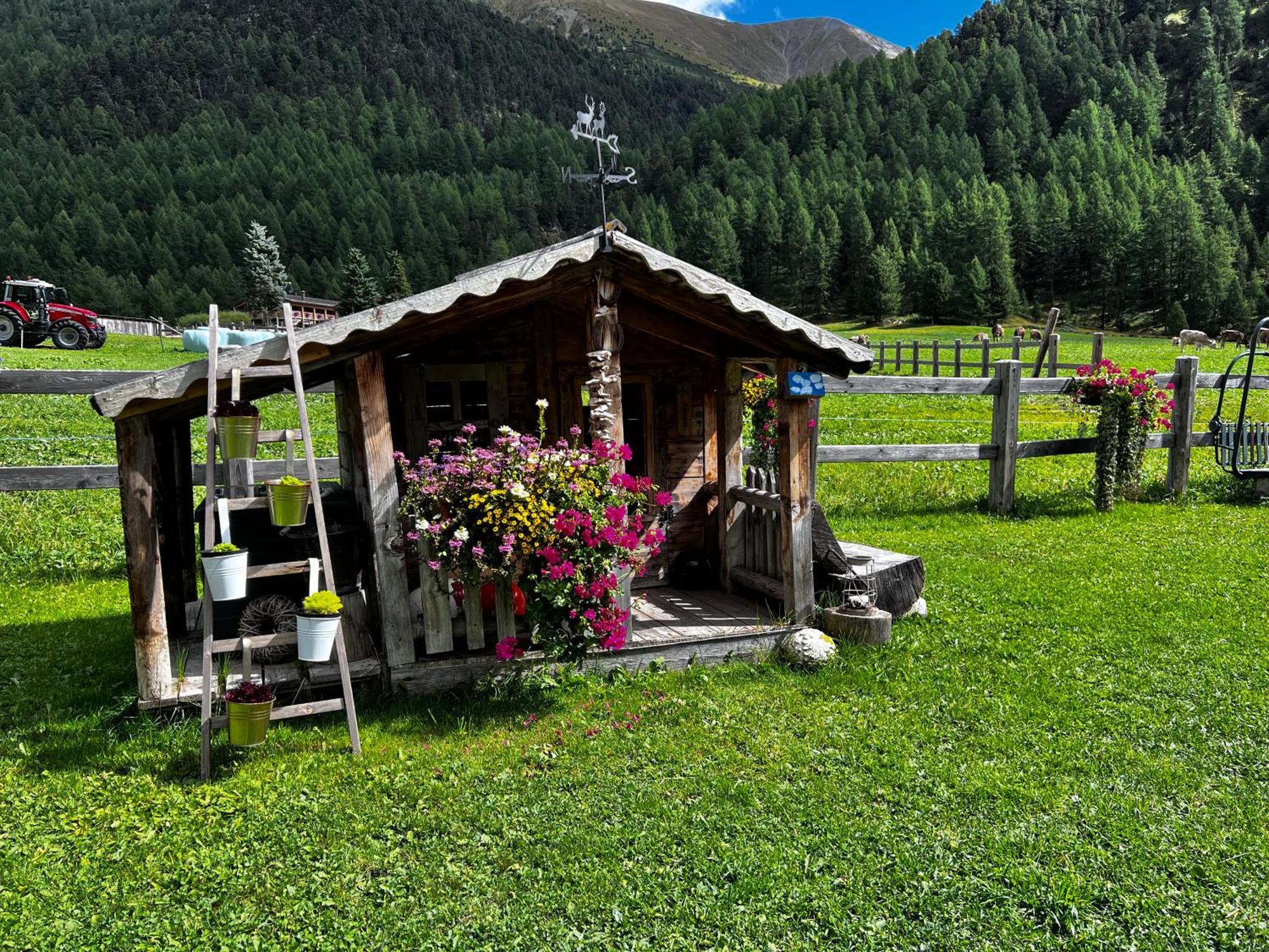Baita Pomo Livigno Esterno foto